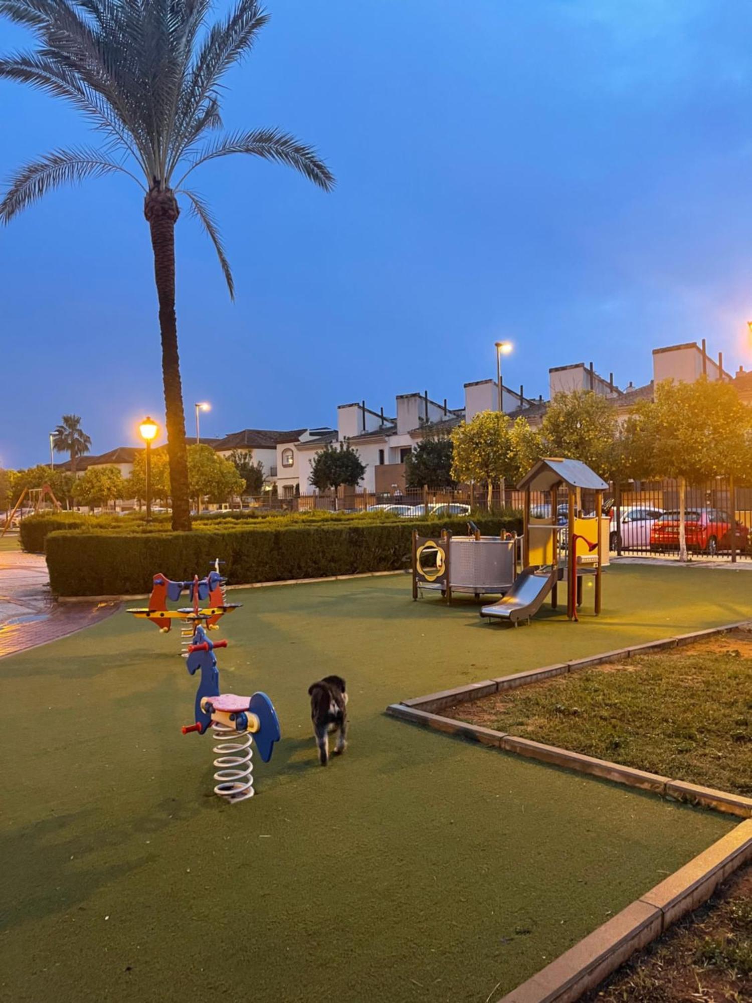 Stelarium-Suite Con Bano Privado En Casa Compartida-Uebica2 Mairena del Aljarafe Exterior foto